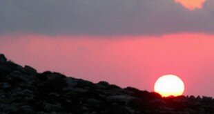 ΑσφοντυλίτηςF