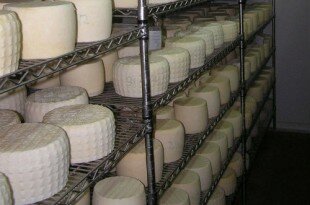 Κυκλάδες και του πουλιού το γάλα_F